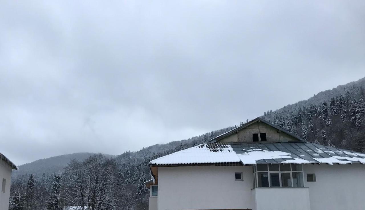 Cocooning In A Lovely Mountain Suite - One Azuga Kültér fotó