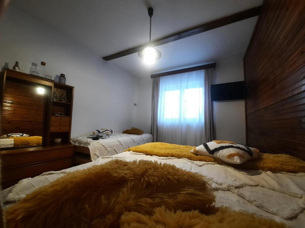 Cocooning In A Lovely Mountain Suite - One Azuga Kültér fotó